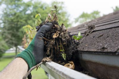 Gutter Maintenance